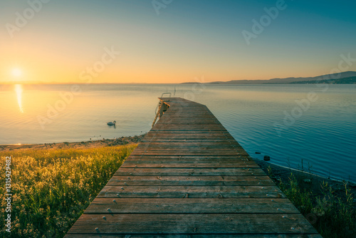 Wooden pier on Lake Trasimeno and a swan at sunset. Magione, Umbria, Italy