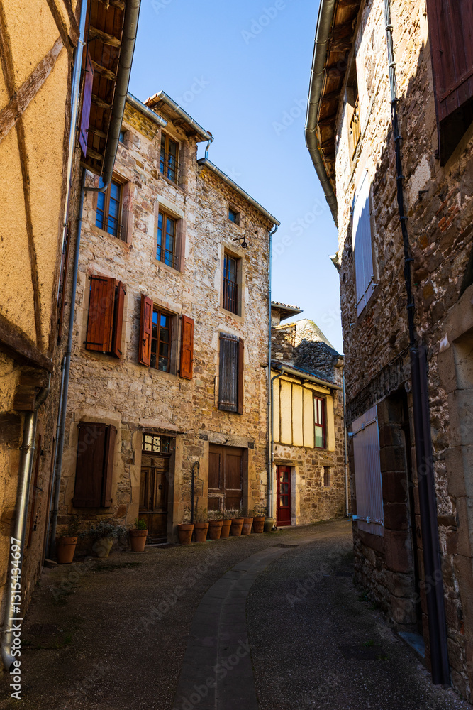 Fototapeta premium Medieval alley in the center of the village of Monestiés