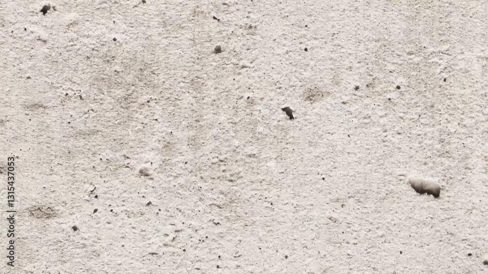 Old Concrete Wall in Stop Motion Animation – Grunge Texture Effect Old Concrete Wall in Stop Motion Animation – Grunge Texture Effect