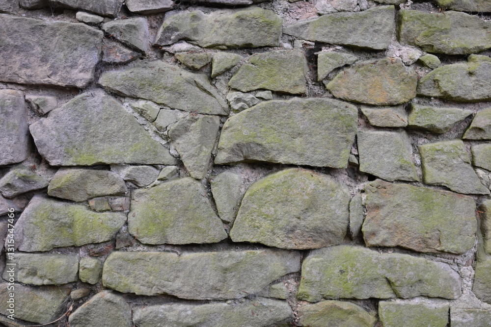 Fototapeta premium A wall made of stone with moss growing on it