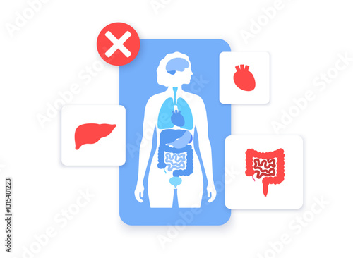 Human internal organs