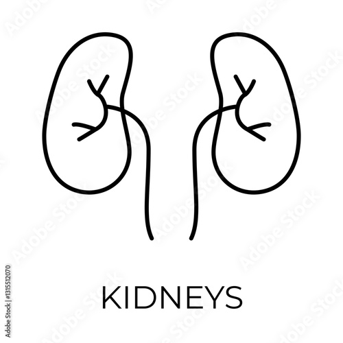 KIDNEYS