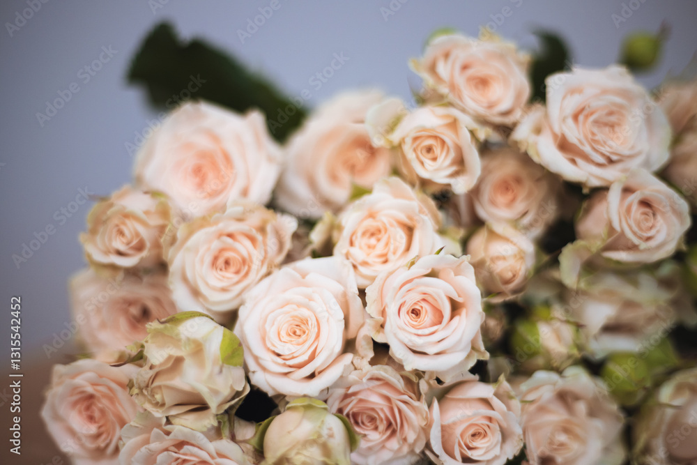 Soft pink roses beautifully in a bouquet on gray background Soft pink roses beautifully in a bouquet on gray background