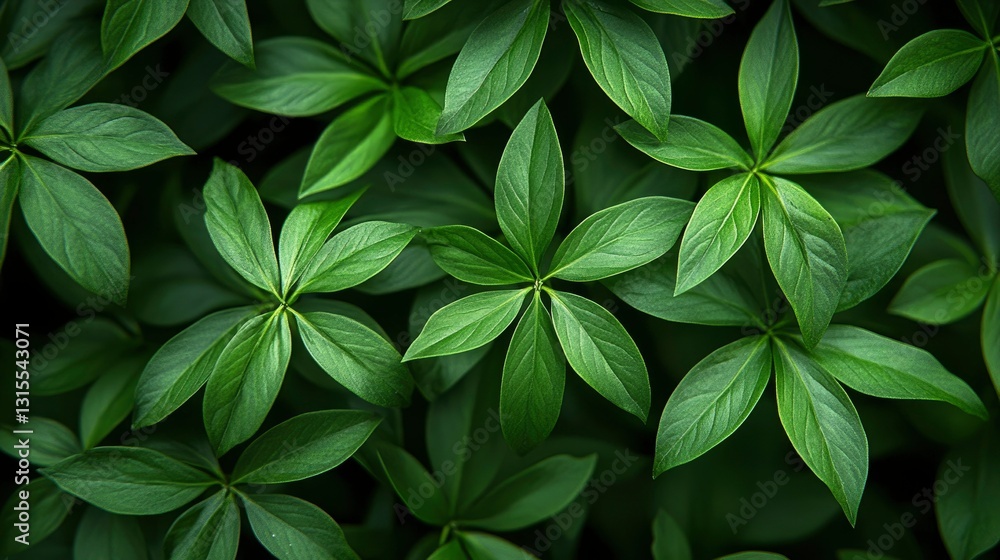 Lush Green Foliage Background A Natural Texture of Vibrant Leaves Lush Green Foliage Background A Natural Texture of Vibrant Leaves