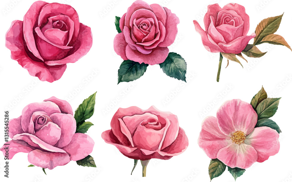 Fototapeta premium set of roses vector illustration