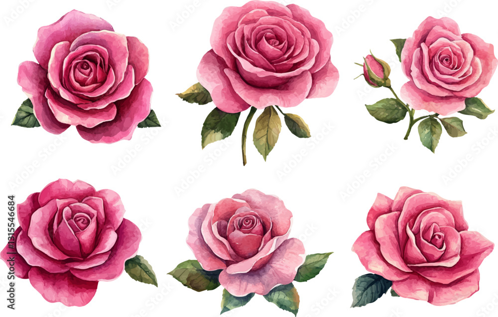 Fototapeta premium set of roses vector illustration