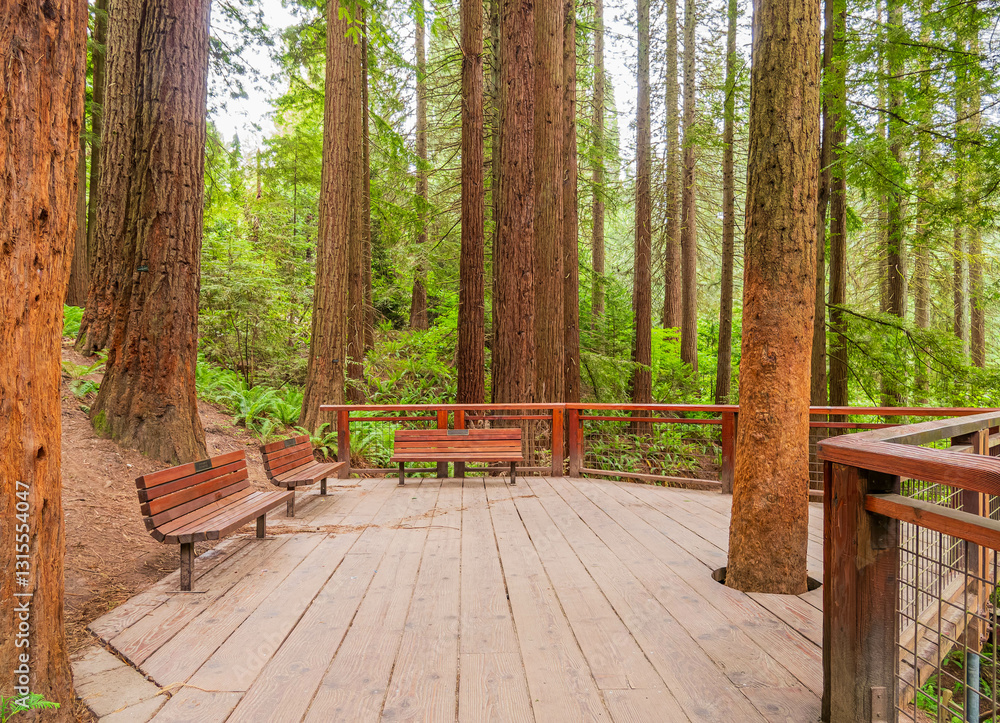 Daytime view of the landscape of Hoyt Arboretum
