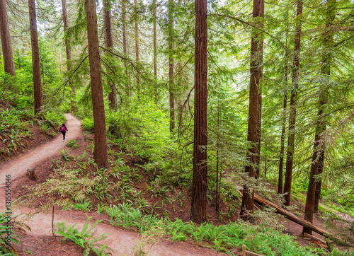 Daytime view of the landscape of Hoyt Arboretum
