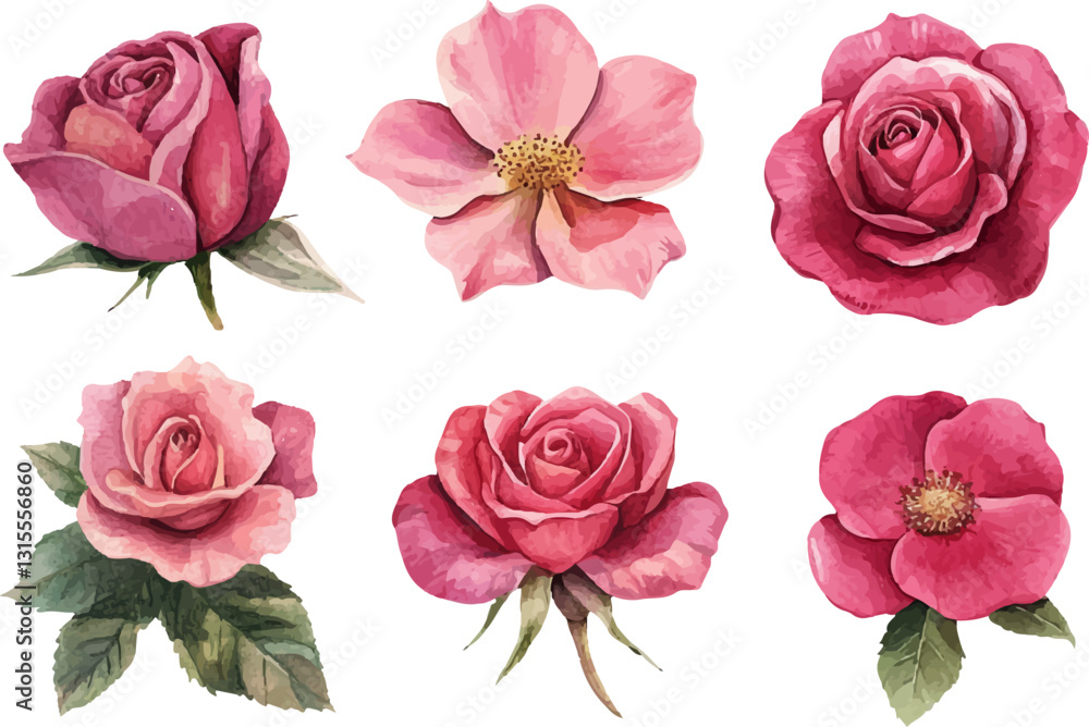 Fototapeta premium set of pink roses