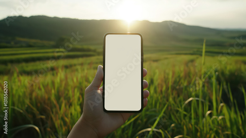 Hand holding smartphone with blank screen in lush green field at sunrise, Mockup
