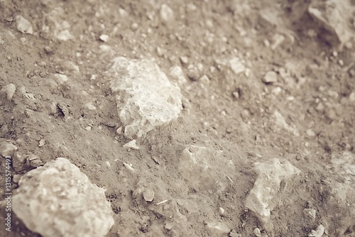 Fragmented terrain with textural subtleties and earthy aesthetic tones