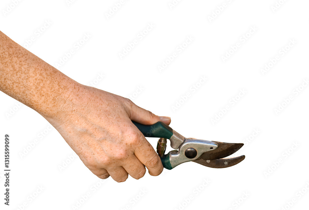 Person's hand holding garden pruners Person's hand holding garden pruners
