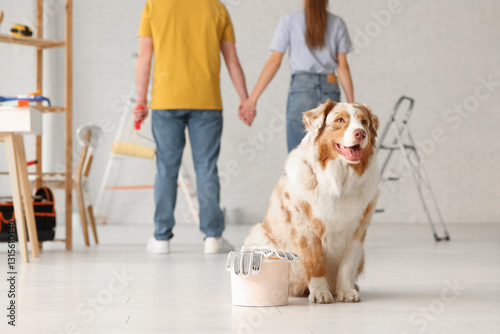 Cute dog with paint in fron...