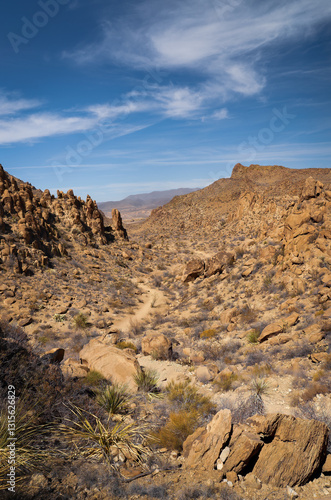 View from Balanced Rock