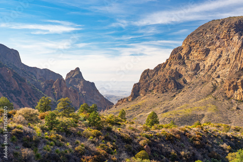 mountain landscape in the mountains