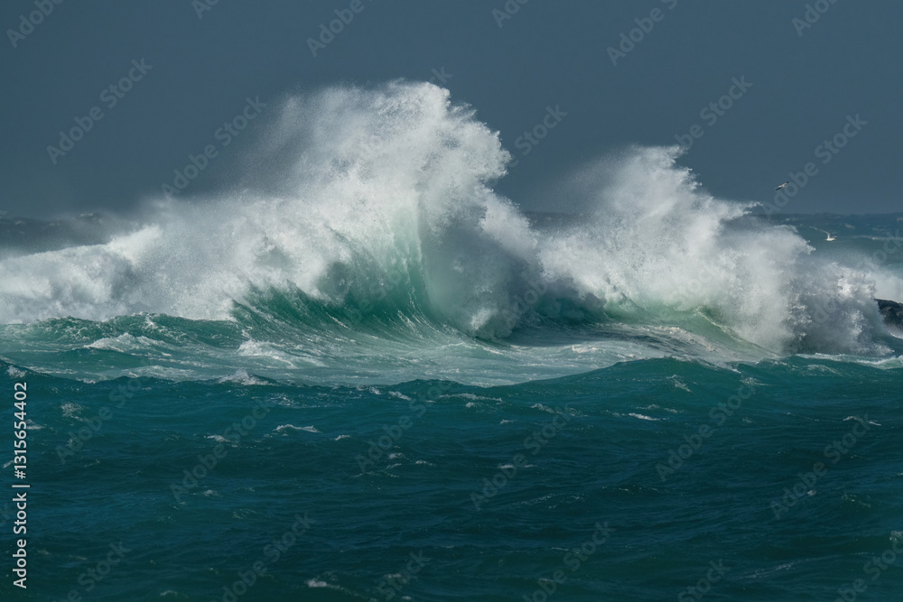 wave of the sea wave of the sea