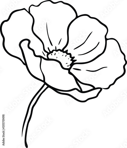  A water color line art Welsh poppy flower.