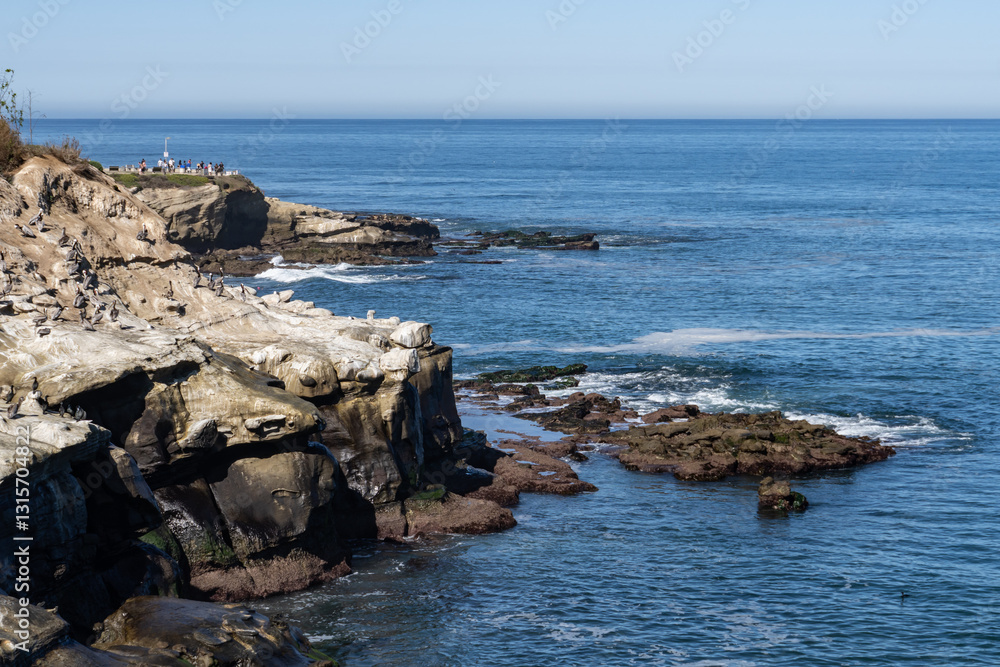 La Jolla Cove is a small cove with a beach that is surrounded by cliffs in La Jolla, a community of San Diego, California. La Jolla Cove is a small cove with a beach that is surrounded by cliffs in La Jolla, a community of San Diego, California.