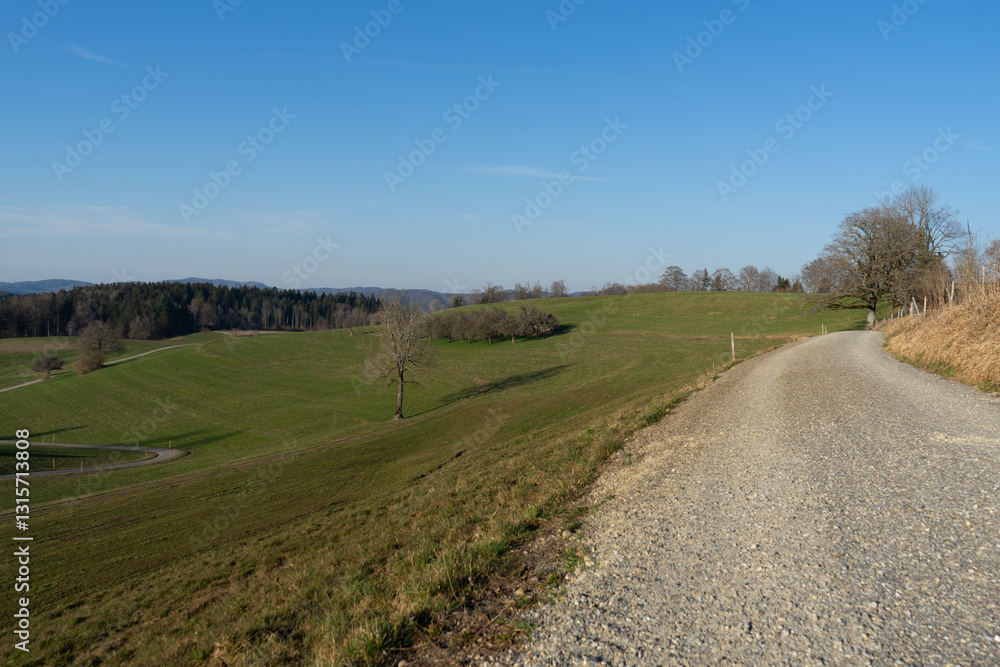 Naklejka premium Feldweg