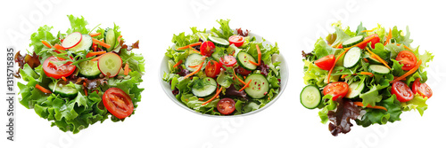 Set of A Fresh vegetable salad isolated on transparent background