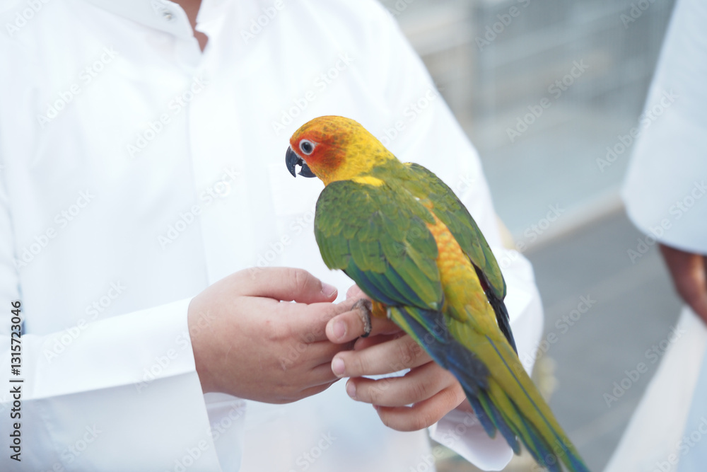 Obraz premium Colorful parrot perched on a person's hand during an outdoor gathering