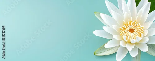 Fototapeta na wymiar Serene White Lotus Blossom on Pastel Turquoise Background for Peaceful Spa and Wellness Theme