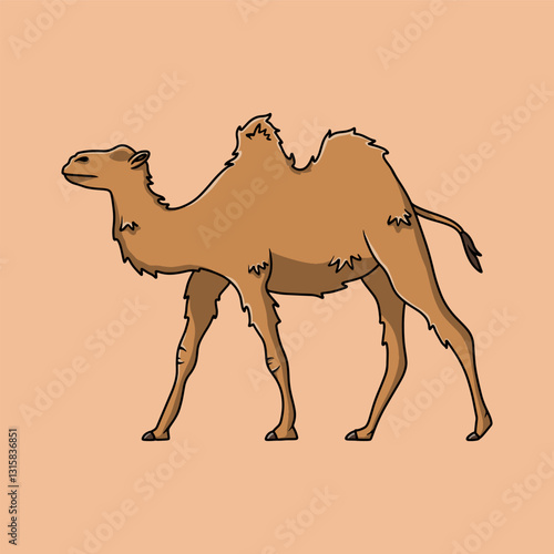 Adorable camel with two humps