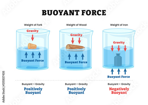 Different types of Buoyant Force Infographic diagram, physics science education. Archimedes Principle. Labeled floating cork, wood, iron, gravity, positive, negative. Water displacement.