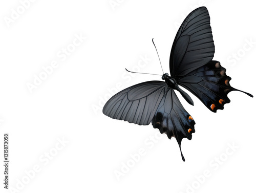 Majestic Black Butterflies Dance Gracefully Among Flowers, Embodying Freedom and Elegance in Nature's Enchanting Display