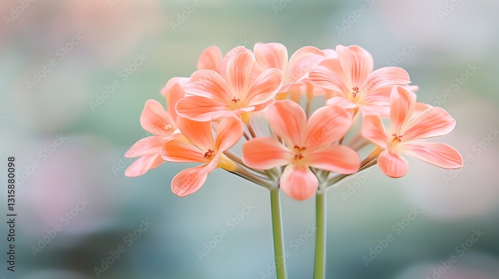 Calm environment close-up floral photography showcasing the beauty of nature gardens Calm environment close-up floral photography showcasing the beauty of nature gardens