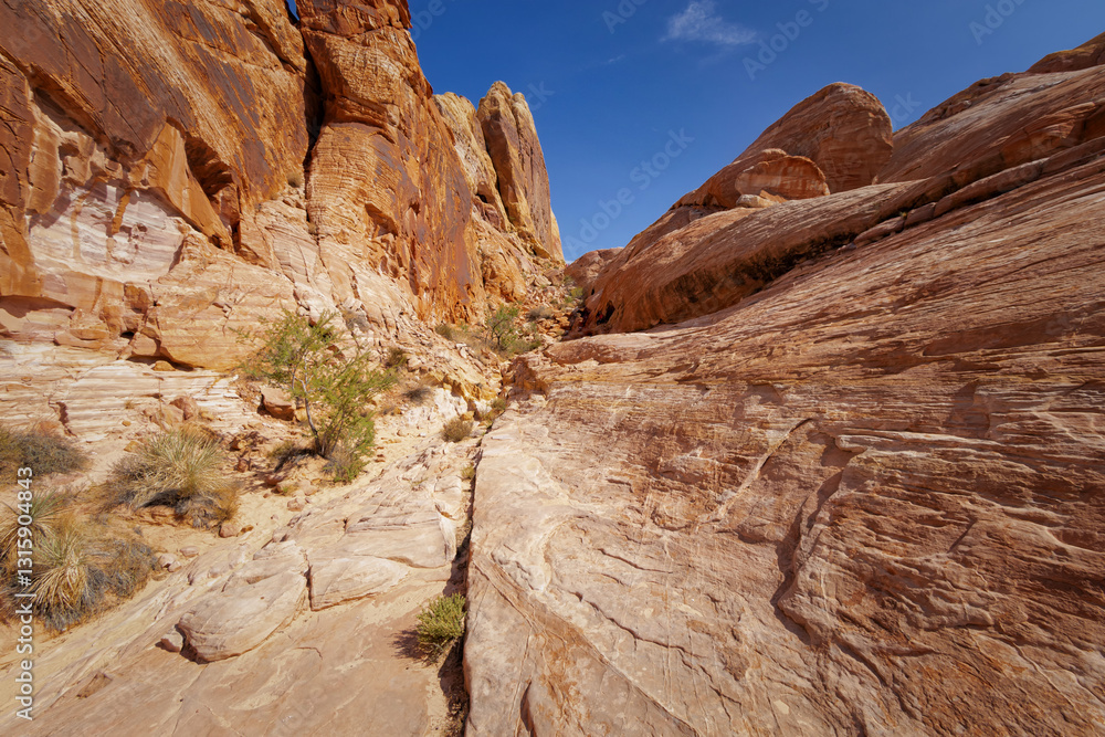 Obraz premium Valley of Fire State Park, Nevada