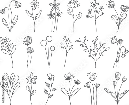 Grey floral line art collection; white background; design elements
