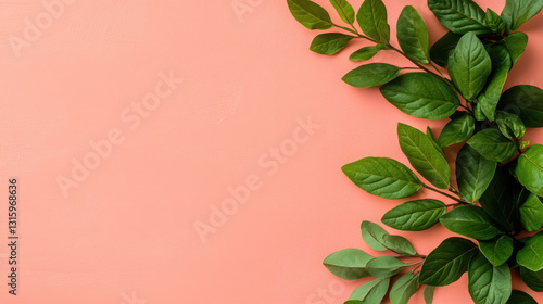 Top-down view of water mint leaves in high fidelity detail.