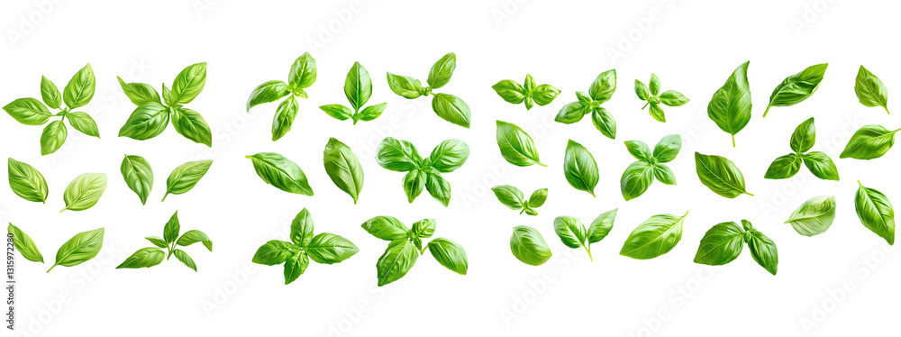 leaves
