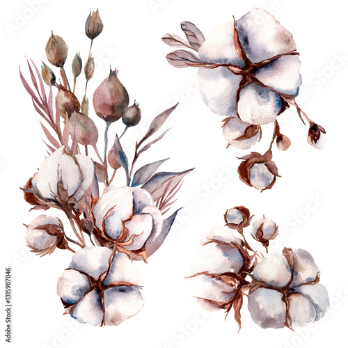 composition of cotton buds and dried flowers. Watercolor illustration on white background.