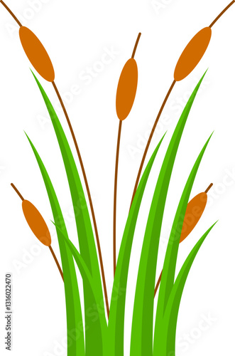 wetland lake plant cartoon illustration