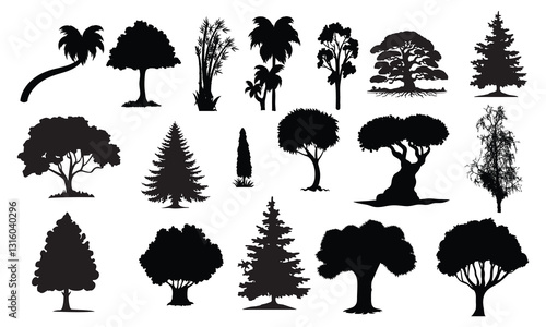 Big set of tree silhouettes. Trees of different natural zones, vector illustration.
