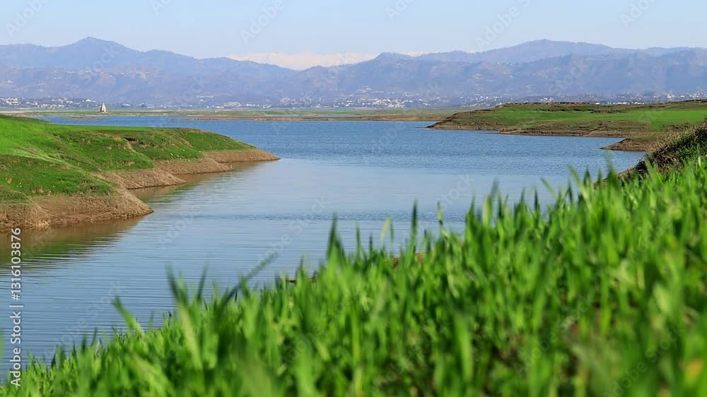 Close-up of fresh green fields with a river gently flowing nearby