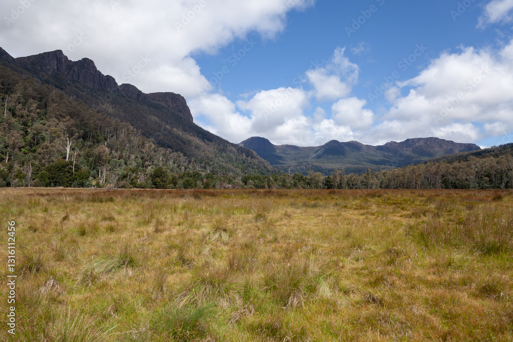 Im Tal Meander Valley Municipality , Mersey River in Tasmanien. Im Tal Meander Valley Municipality , Mersey River in Tasmanien.