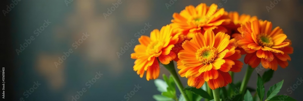 Marigold flowers in a bouquet with colorful stems, bouquet, flowers Marigold flowers in a bouquet with colorful stems, bouquet, flowers