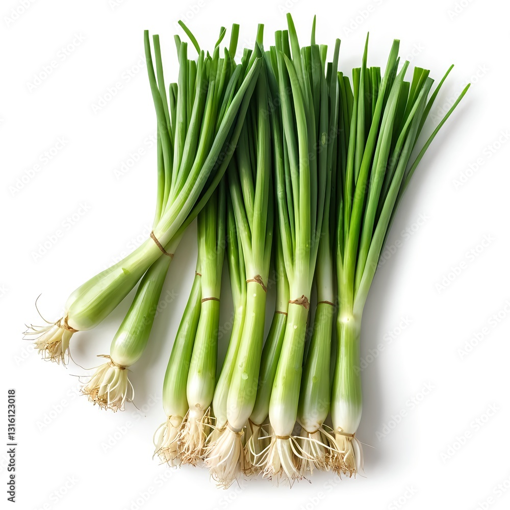 Fresh Green Onions Bunch Fresh Green Onions Bunch