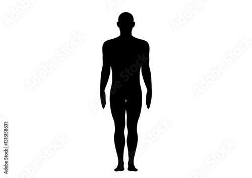 人体モデル 立像 正面 男性