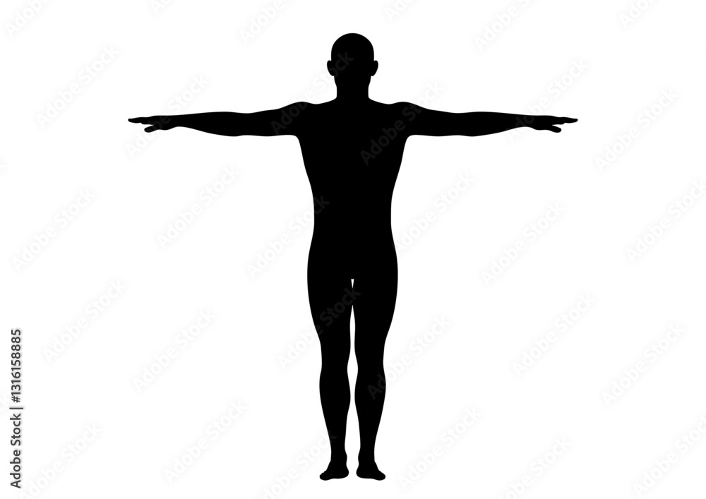 人体モデル 立像 正面 男性 人体モデル 立像 正面 男性