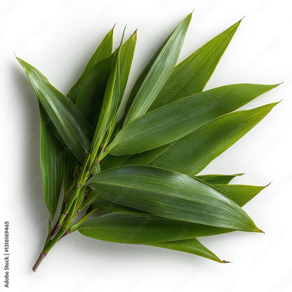 Obraz premium The natural beauty of Pandanus amaryllifolius leaves with their verdant color creates an aromatic atmosphere ideal for wellness, spa, and botanical compositions