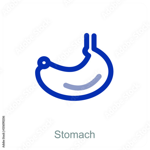 Stomach