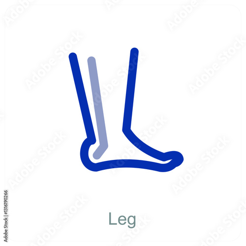 Leg