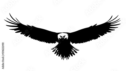 Eagle on white background, bird, eagle, silhouette, vector, flying, illustration, animal, wing, wings, dove, black, art, tattoo, fly, feather, nature, symbol, crow, flight, hawk, design, falcon, pigeo