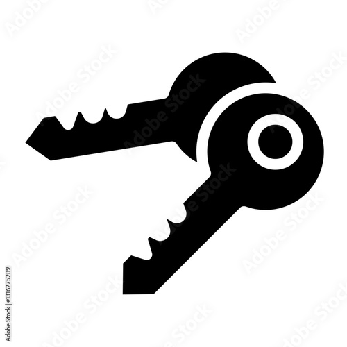 Key Vector Design Icon Style