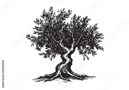 Olive tree, hand drawn style.