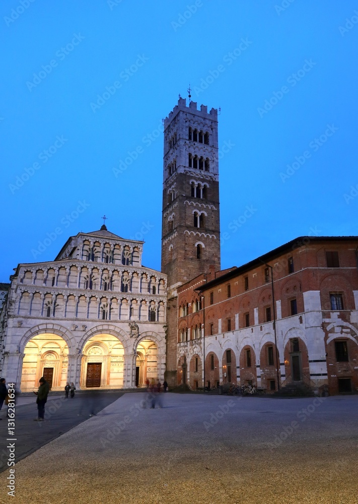 Obraz premium cathedral of san martino in the city of lucca located in tuscany region at night time view in ITALY